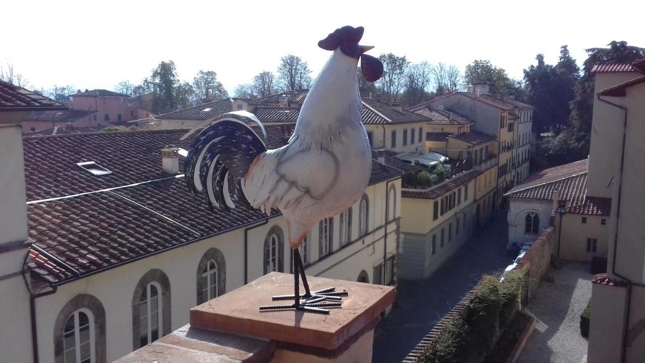 Terrazza Coccode' Spazioso Con Vista Mozzafiato! Lucca Exterior foto